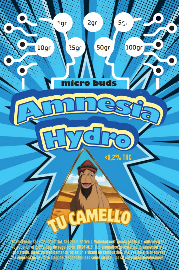 Amnesia Hydro